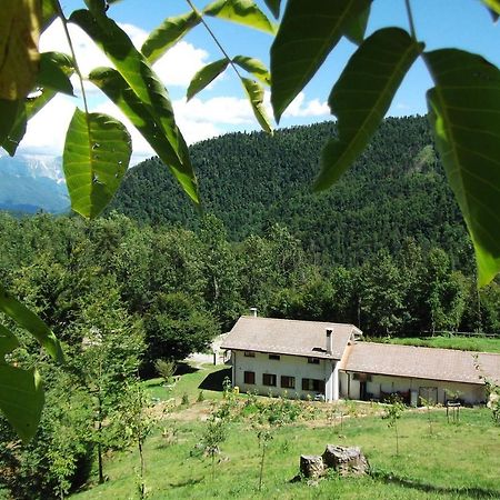 Bosco Delle Rune ..Un Angolo Di Paradiso Platischis エクステリア 写真