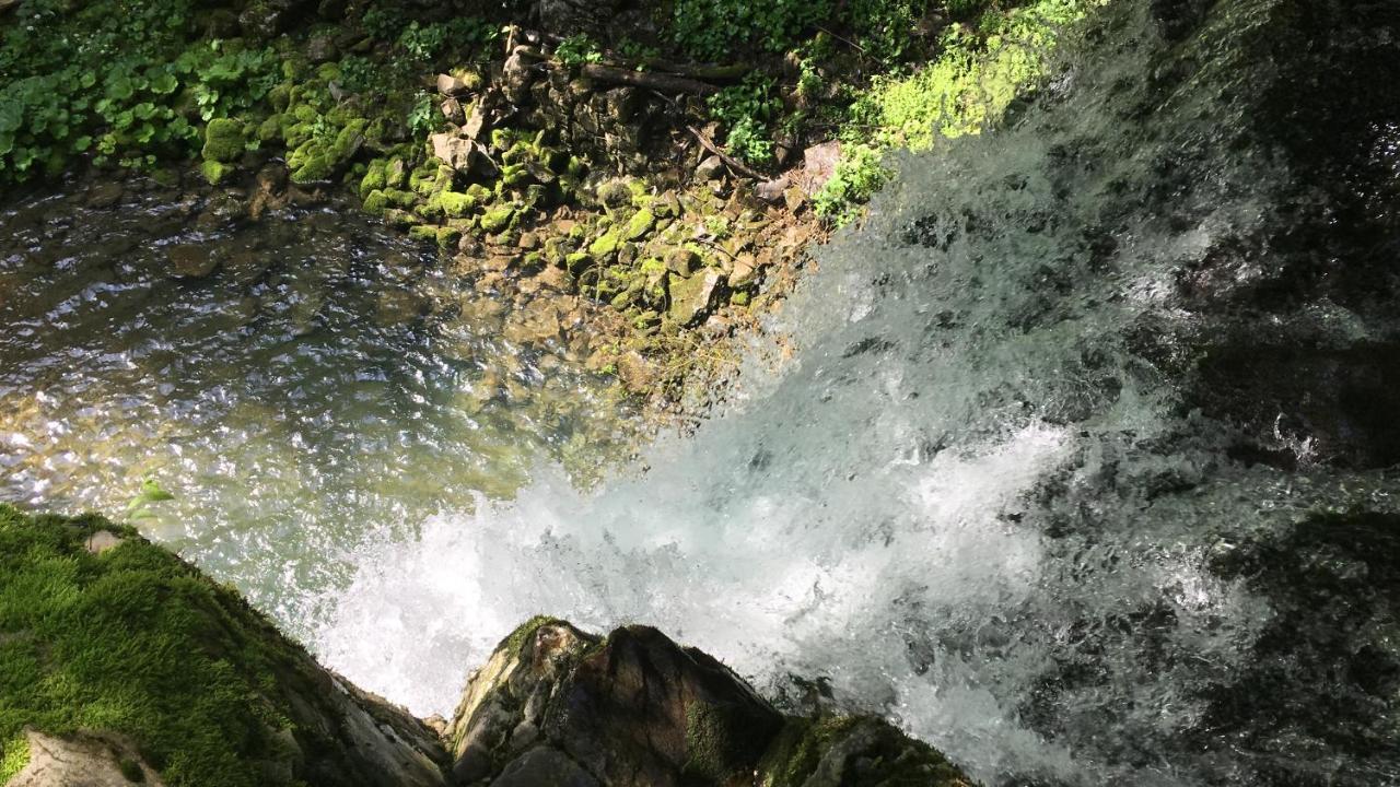 Bosco Delle Rune ..Un Angolo Di Paradiso Platischis エクステリア 写真