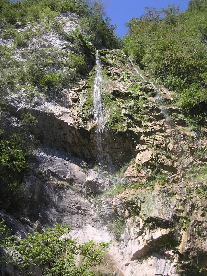 Bosco Delle Rune ..Un Angolo Di Paradiso Platischis エクステリア 写真
