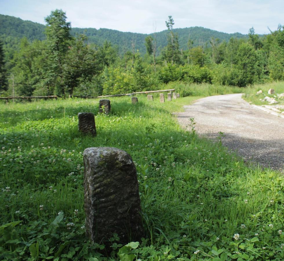 Bosco Delle Rune ..Un Angolo Di Paradiso Platischis エクステリア 写真