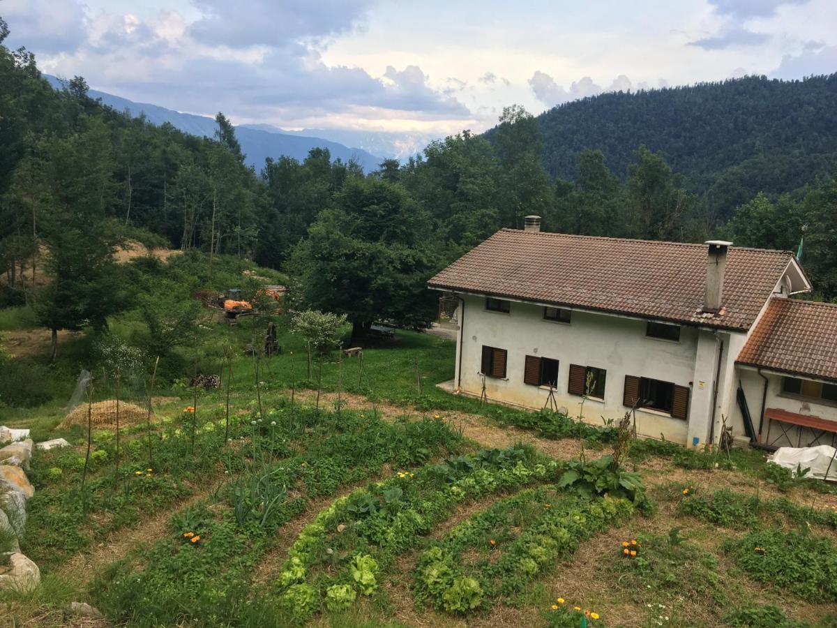 Bosco Delle Rune ..Un Angolo Di Paradiso Platischis エクステリア 写真