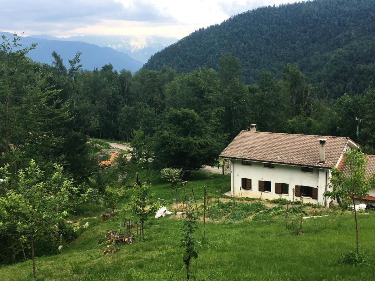 Bosco Delle Rune ..Un Angolo Di Paradiso Platischis エクステリア 写真