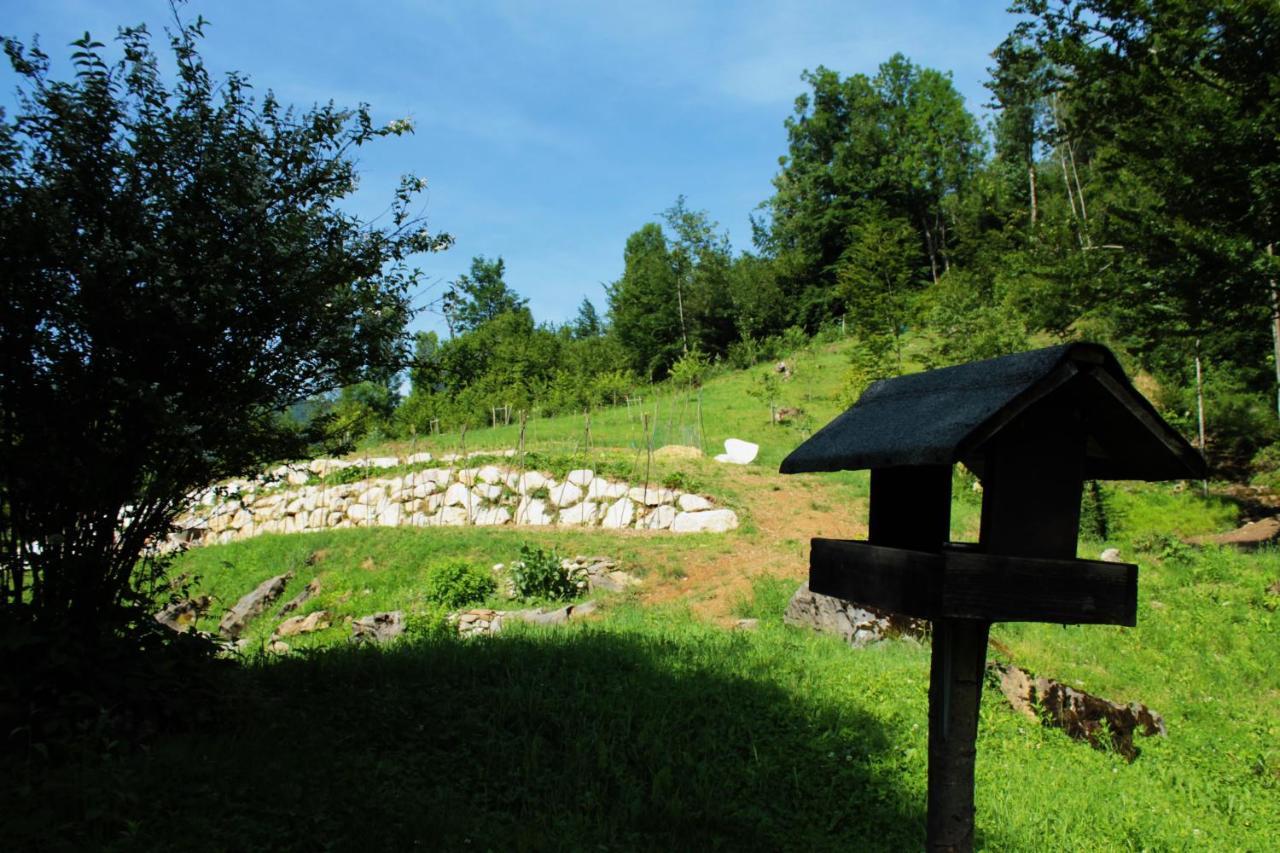 Bosco Delle Rune ..Un Angolo Di Paradiso Platischis エクステリア 写真