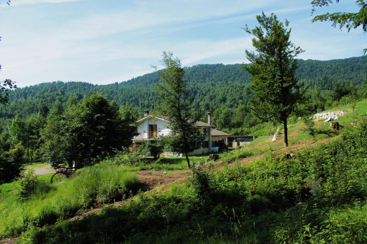 Bosco Delle Rune ..Un Angolo Di Paradiso Platischis エクステリア 写真